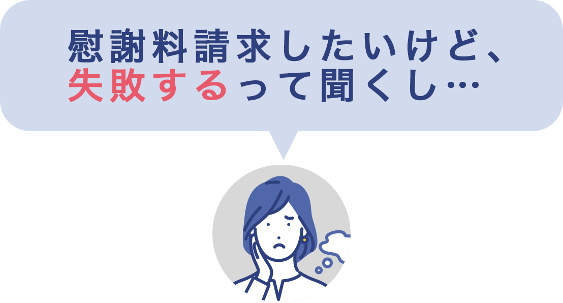 慰謝料請求したいけど、失敗するって聞くし…